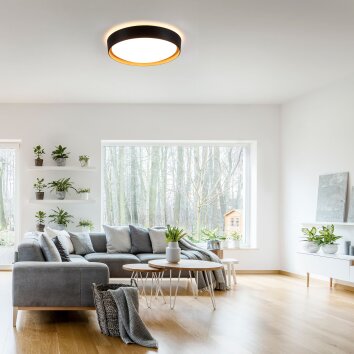 Moderne LED Holz Deckenleuchte aus dem Hause TRIO Leuchten