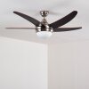 Morino Deckenventilator Braun, Nickel-Matt, 2-flammig, Fernbedienung