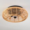 Mulstrand Deckenventilator 50 cm Schwarz, 4-flammig