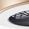 Brilliant Slimline Deckenventilator LED Schwarz, 1-flammig, Fernbedienung