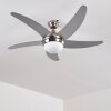 Morino Deckenventilator Nickel-Matt, Silber, 2-flammig, Fernbedienung