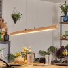 Carbellino Pendelleuchte LED Naturfarben, Schwarz, 1-flammig