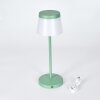 Algeraz Tischleuchte LED Grün, 1-flammig