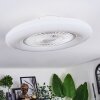 Benesal Deckenventilator LED Weiß, 1-flammig, Fernbedienung