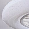 Benesal Deckenventilator LED Weiß, 1-flammig, Fernbedienung