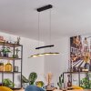 Casalino Pendelleuchte LED Schwarz, Transparent, Klar, 1-flammig