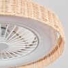 Benasal Deckenventilator mit Beleuchtung Naturfarben, Weiß, 1-flammig, Fernbedienung