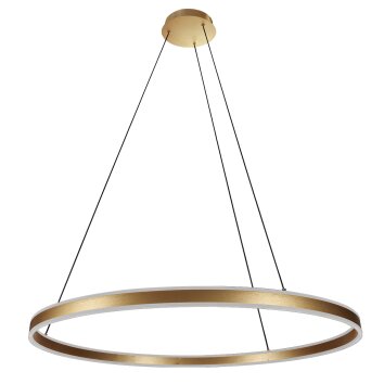 Steinhauer Ringlux Pendelleuchte LED Gold, 2-flammig