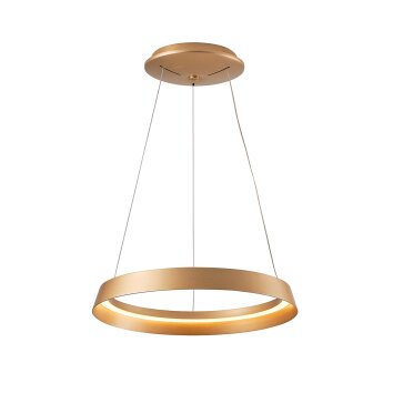 Steinhauer Ringlux Pendelleuchte LED Gold, 1-flammig