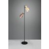 Trio Agudo Stehlampe Bunt, 2-flammig