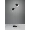 Trio Agudo Stehlampe Schwarz, 2-flammig