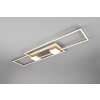 Trio ALBANY Deckenleuchte LED Nickel-Matt, 1-flammig, Fernbedienung