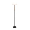 Trio Celeste Stehlampe LED Schwarz, 1-flammig