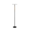 Trio Celeste Stehlampe LED Schwarz, 1-flammig