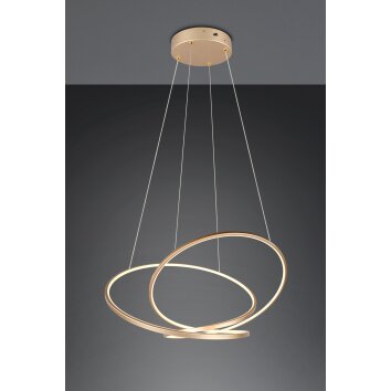 Trio Darvin Pendelleuchte LED Gold, 1-flammig