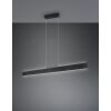 Trio Galway Pendelleuchte LED Schwarz, 1-flammig