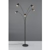 Trio Marley Stehlampe Schwarz, 5-flammig