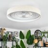 Benasal Deckenventilator mit Beleuchtung 55 cm LED Weiß, 1-flammig, Fernbedienung