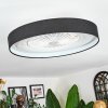 Benasal Deckenventilator mit Beleuchtung 55 cm LED Weiß, 1-flammig, Fernbedienung