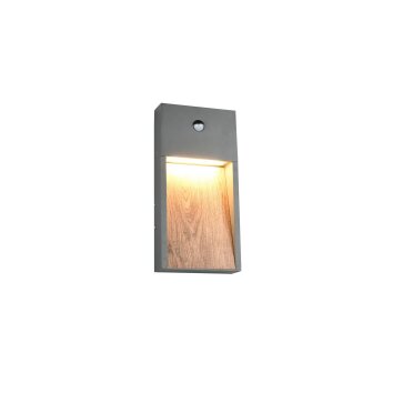 Trio SALMON Wandleuchte LED Holz hell, 1-flammig, Bewegungsmelder