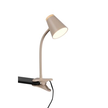 Reality Pongo Klemmleuchte LED Beige, 1-flammig