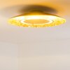 Mala Deckenleuchte LED Gold, 1-flammig