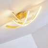 Aranu Deckenleuchte LED Gold, 4-flammig