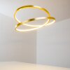 Stalon Pendelleuchte LED Gold, 1-flammig