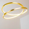 Stalon Pendelleuchte LED Gold, 1-flammig