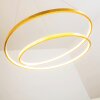 Stalon Pendelleuchte LED Gold, 1-flammig