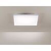 Paul Neuhaus FRAMELESS Panel LED Weiß, 1-flammig, Fernbedienung