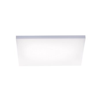 Paul Neuhaus FRAMELESS Panel LED Weiß, 1-flammig, Fernbedienung